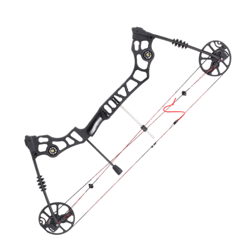 x8 naked bow 30-70 pounds modifiable